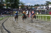 Immagine <b>REG_9267</b>